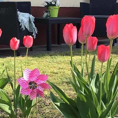 Casa Marherita Appartman Hajduszoboszlo